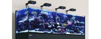 Meerwasser Aquarium - Coral Farm Switzerland